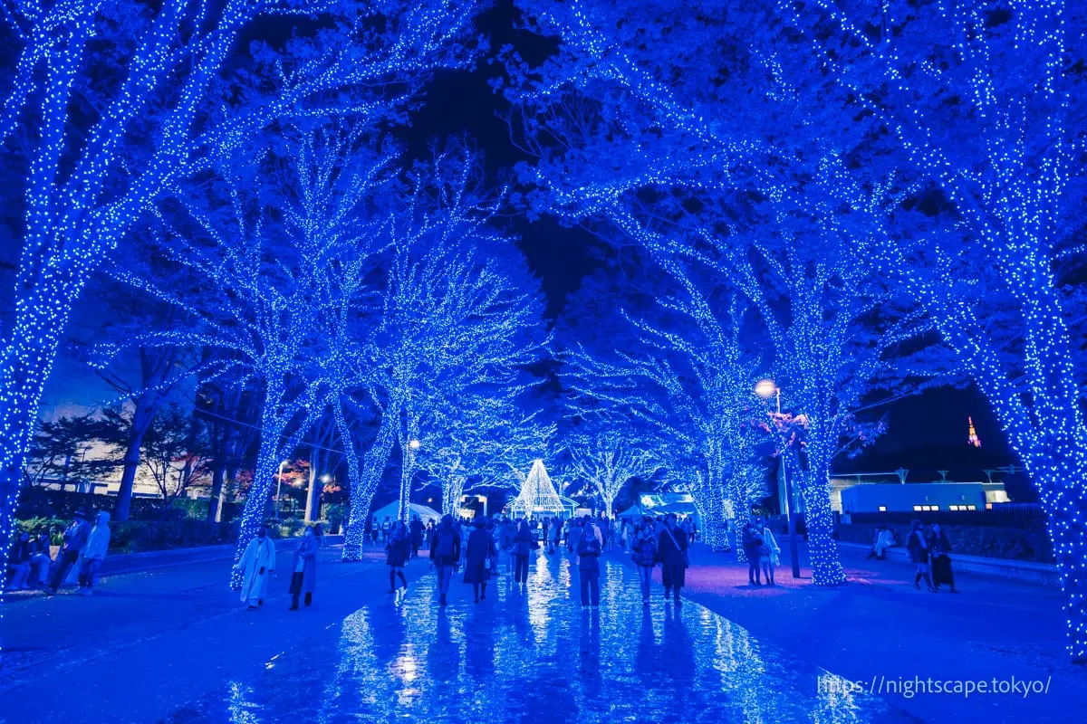 Night view from Blue Cave SHIBUYA 2025