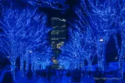 藍色洞窟 澀谷 2025夜景 圖片4