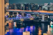 Illuminated Sumida River Walk