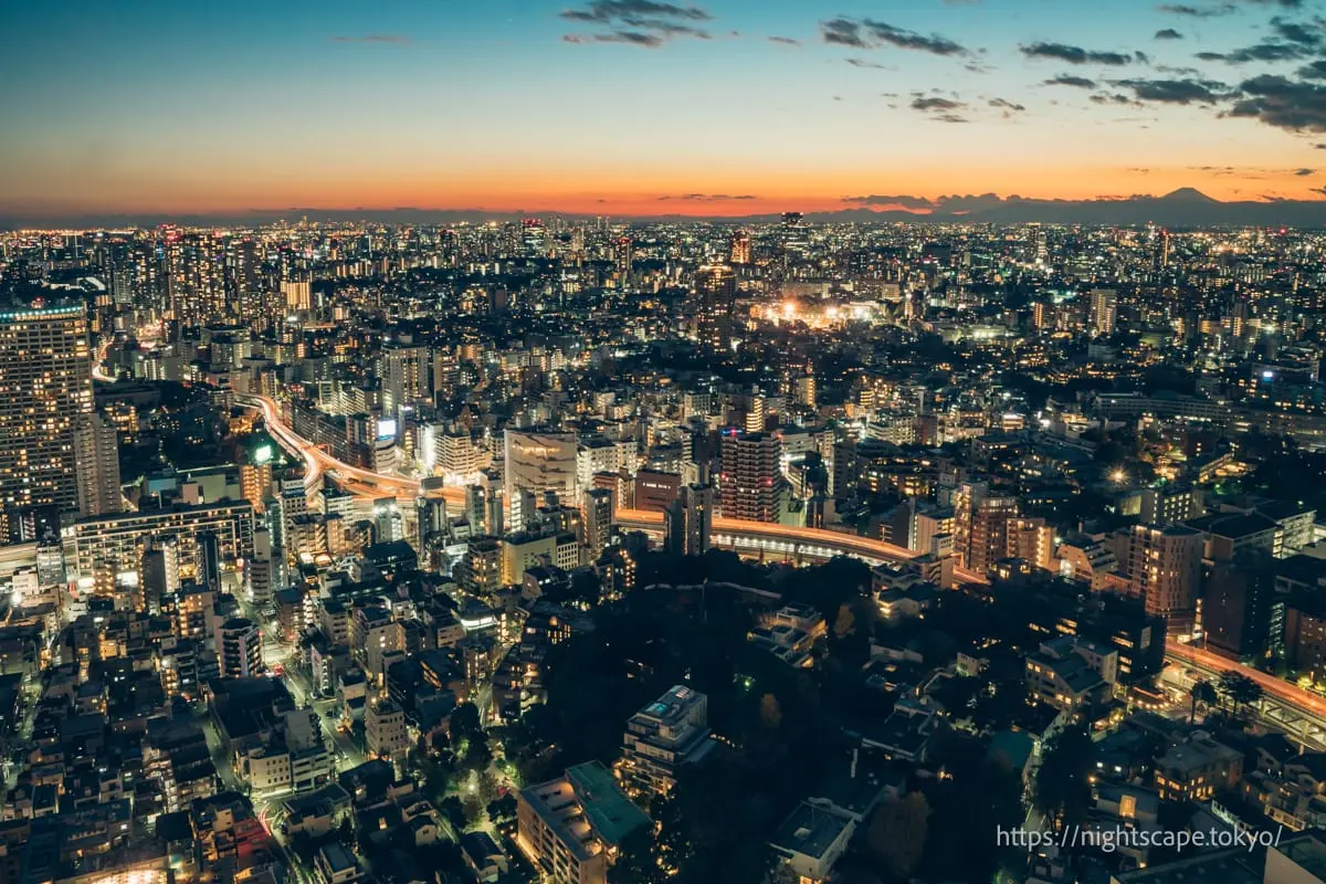 麻布台ヒルズからの夜景
