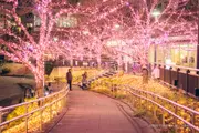 目黑川大家的燈飾2025夜景 圖片2