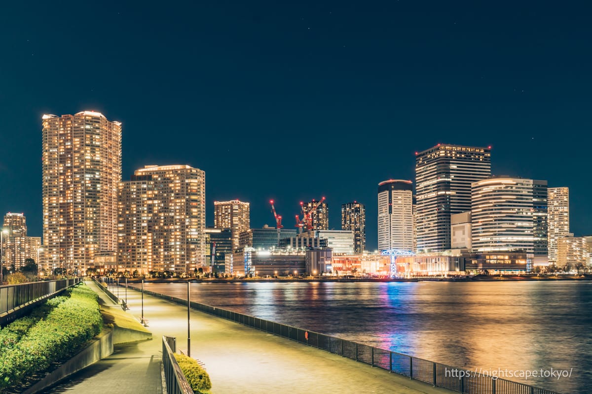 晴海臨海公園・水辺のテラスの夜景