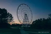 117m (384 ft) tall Ferris wheel illuminated at night