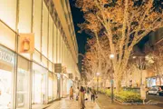 表參道 芬迪聖誕燈飾 2025夜景 圖片4