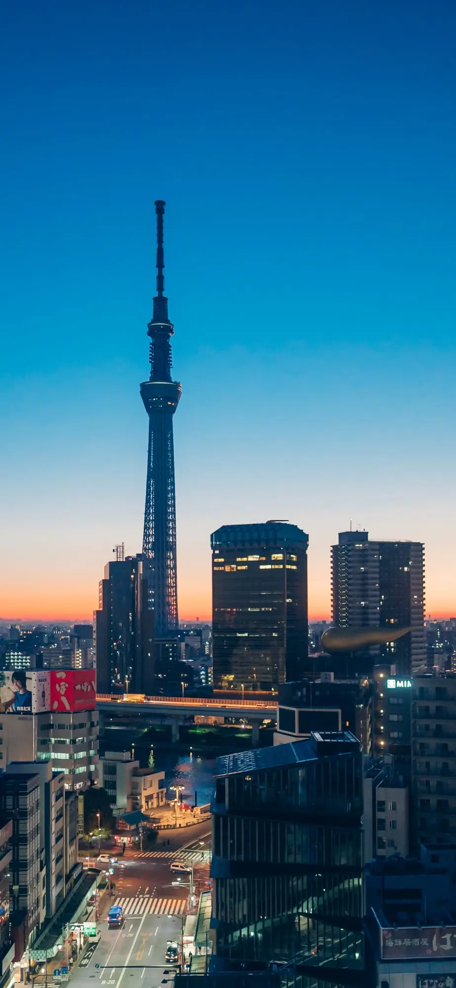 破曉前的東京晴空塔