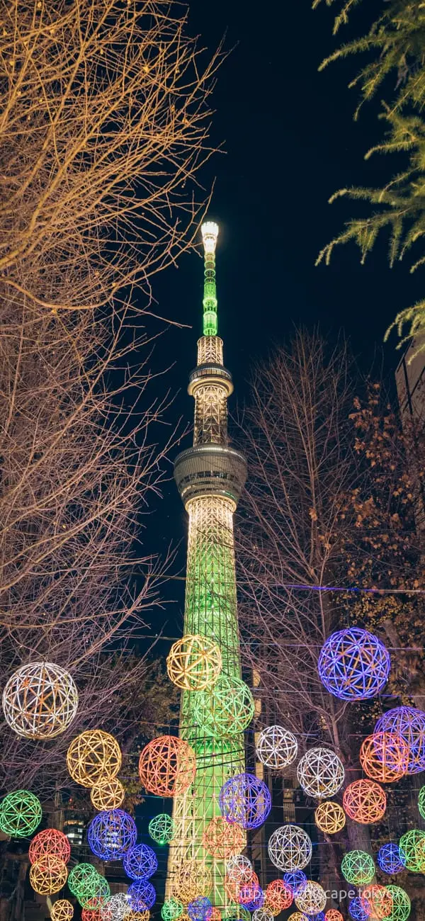 燈光璀璨的東京晴空塔