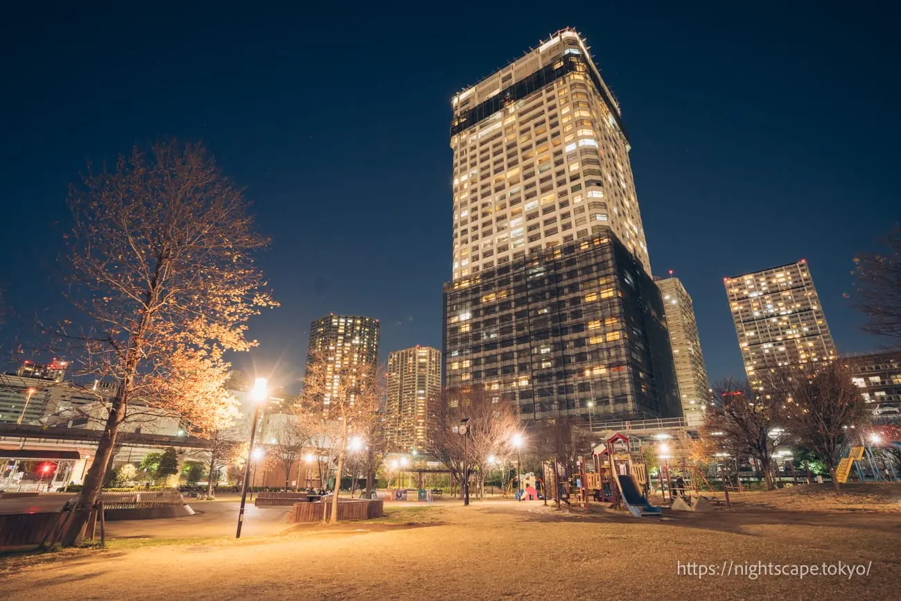 港南綠水公園の夜景
