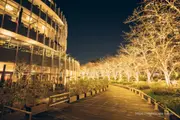 東京中城「光之散步道」2025夜景 圖片1