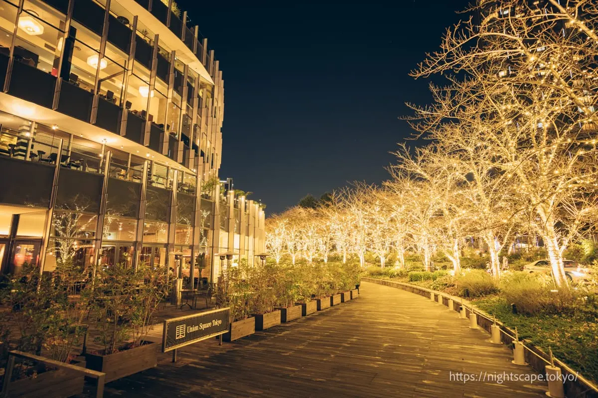 Tokyo Midtown 'Path of Light' 2025の夜景