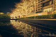 東京中城「光之散步道」2025夜景 圖片4