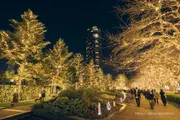 東京中城「光之散步道」2025夜景 圖片3