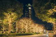 東京中城「光之散步道」2025夜景 圖片2