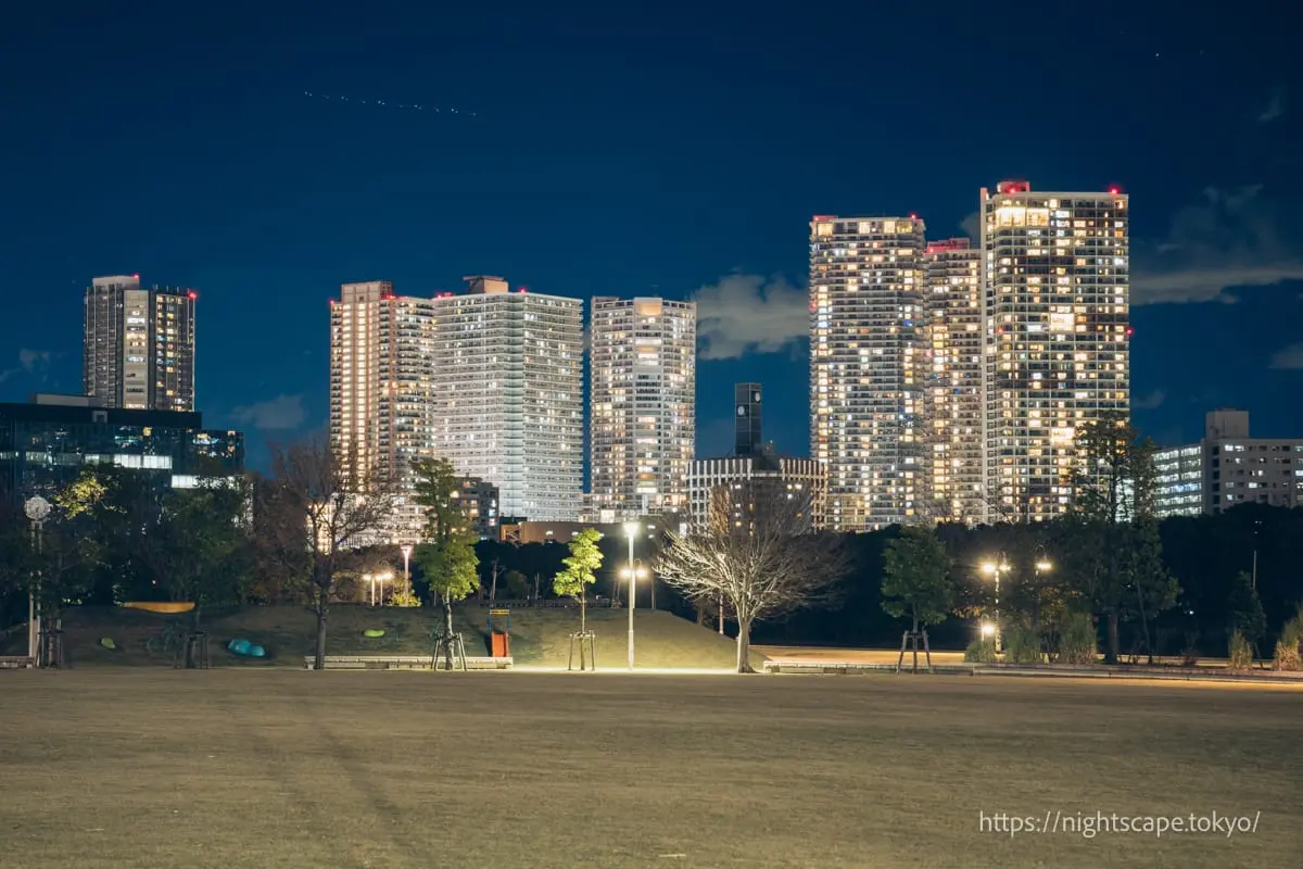 丰洲六丁目公园夜景