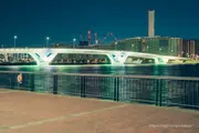 Toyosu Bridge illuminated in green