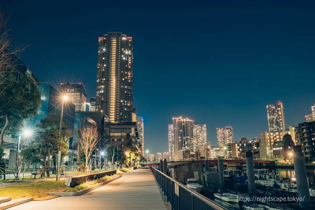 朝潮運河親水公園から眺める夜景