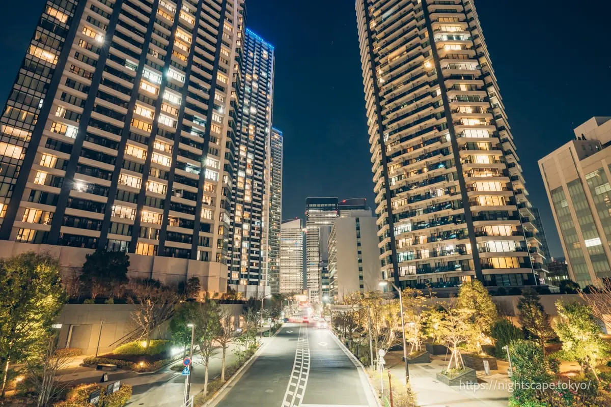 黎明橋公園通的夜景