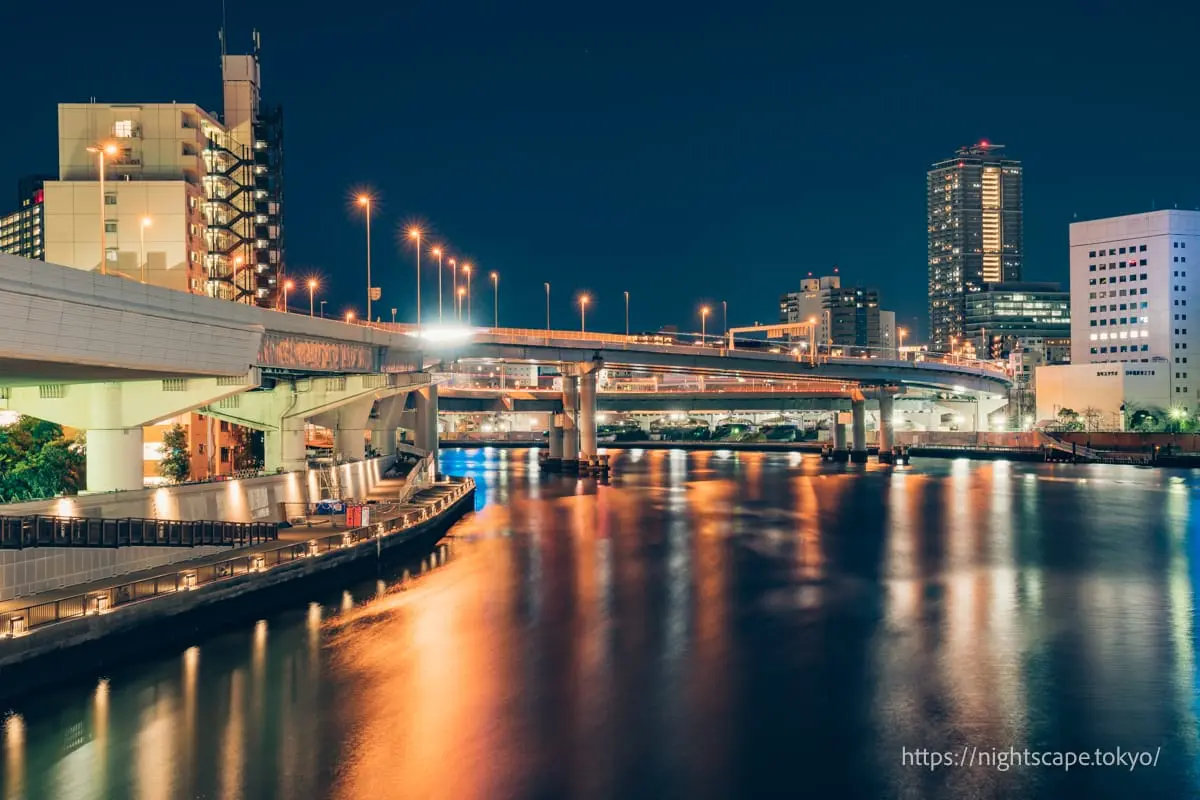 從兩國橋眺望的交匯處夜景