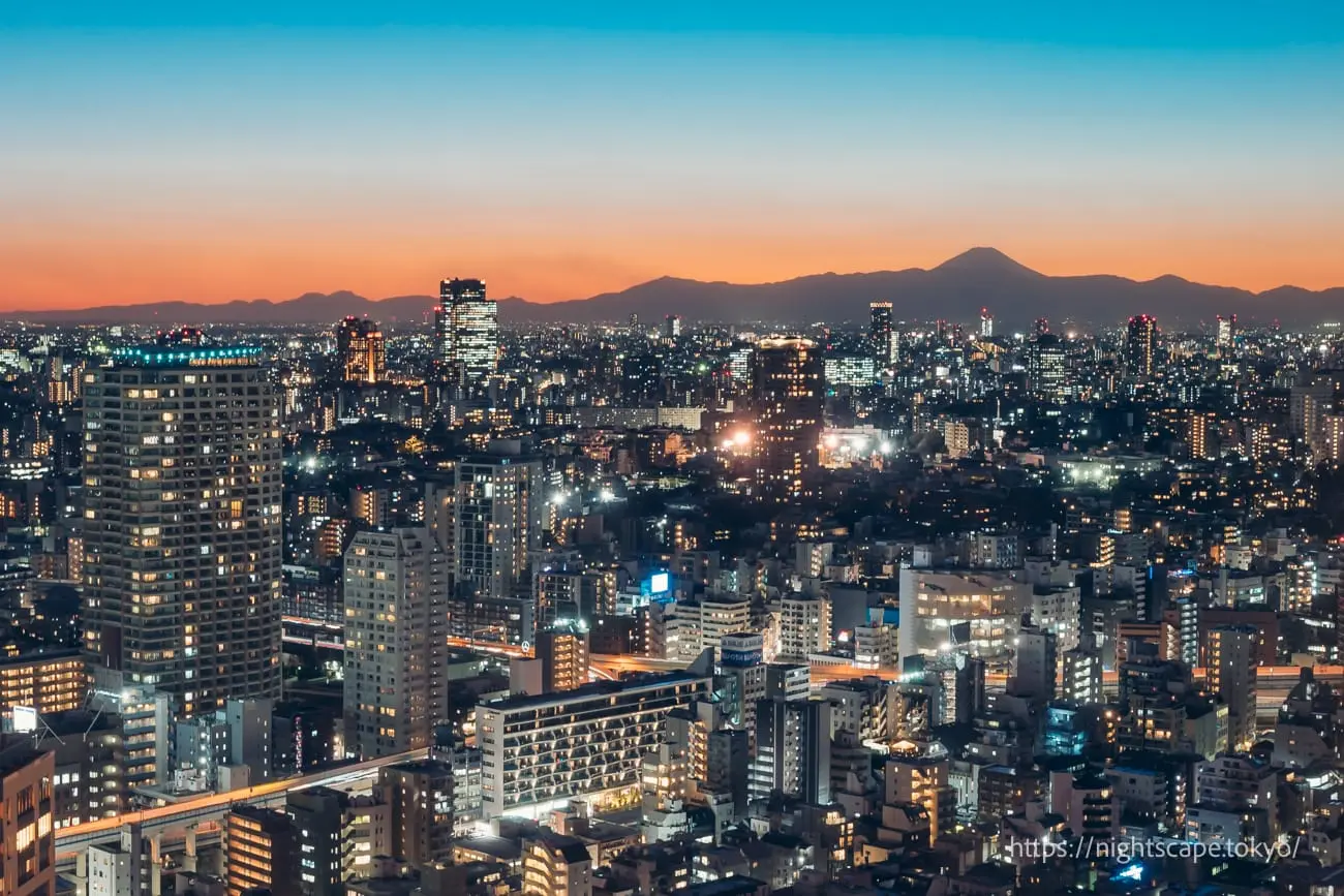 Mount Fuji and Azabu area cityscape