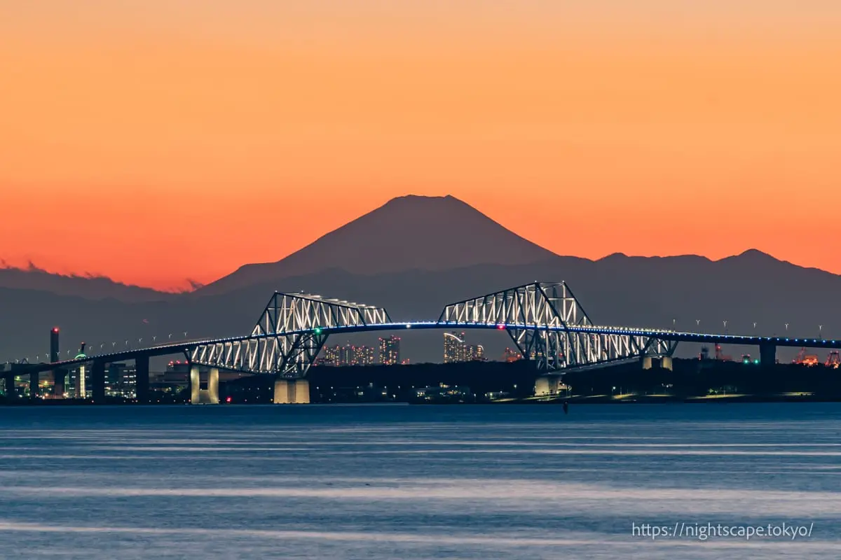 Maihama Coastal Promenadeの夜景