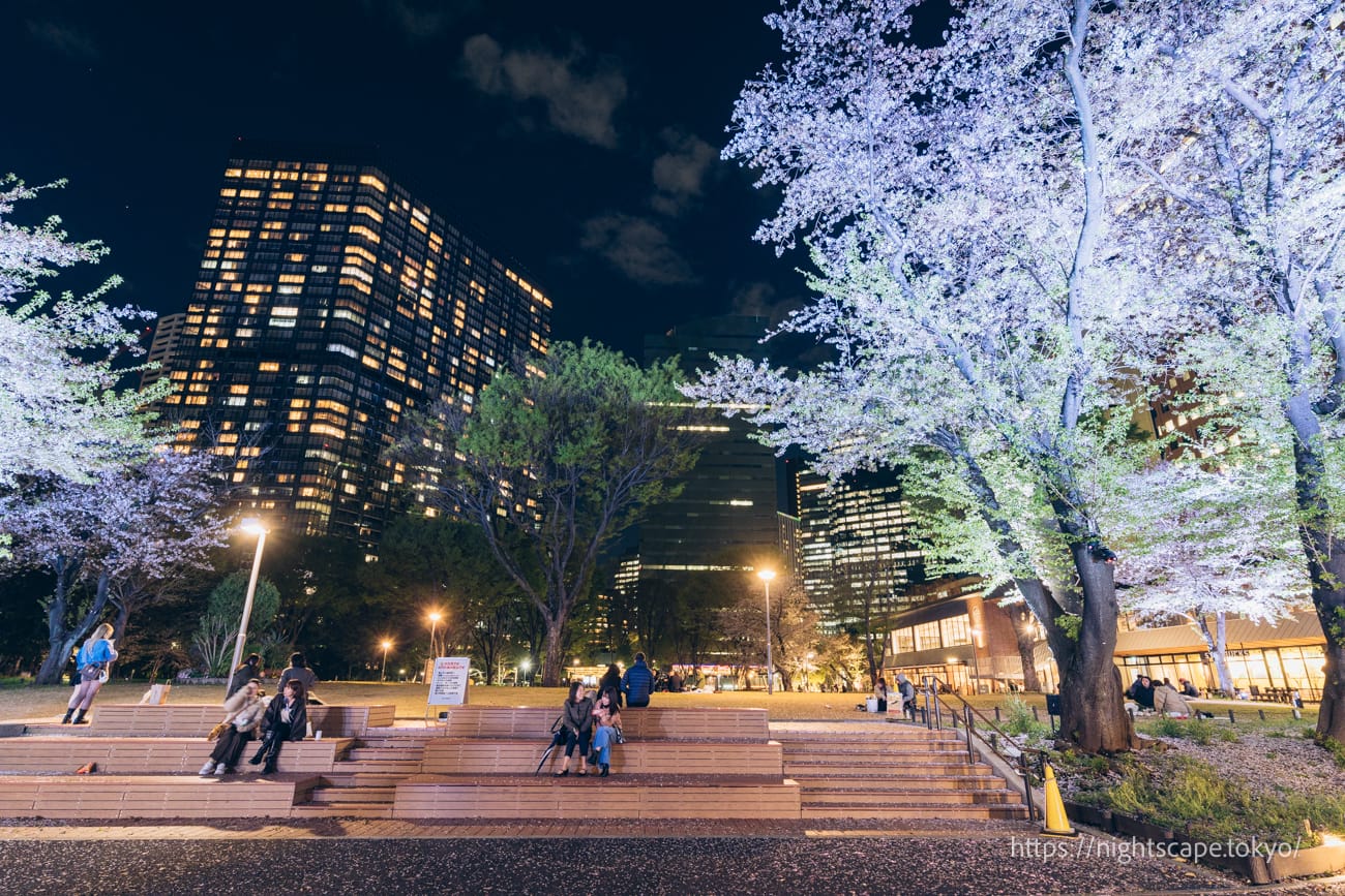 shinjuku chuo park