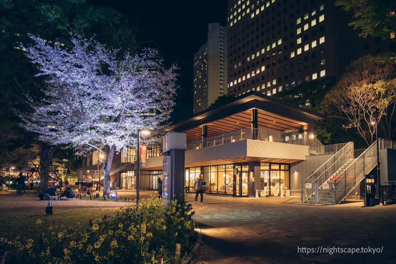 新宿中央公園の雰囲気