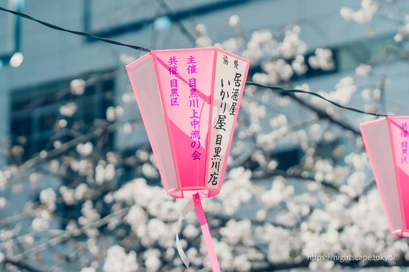 Paper lanterns at Nakameguro Cherry Blossom Festival