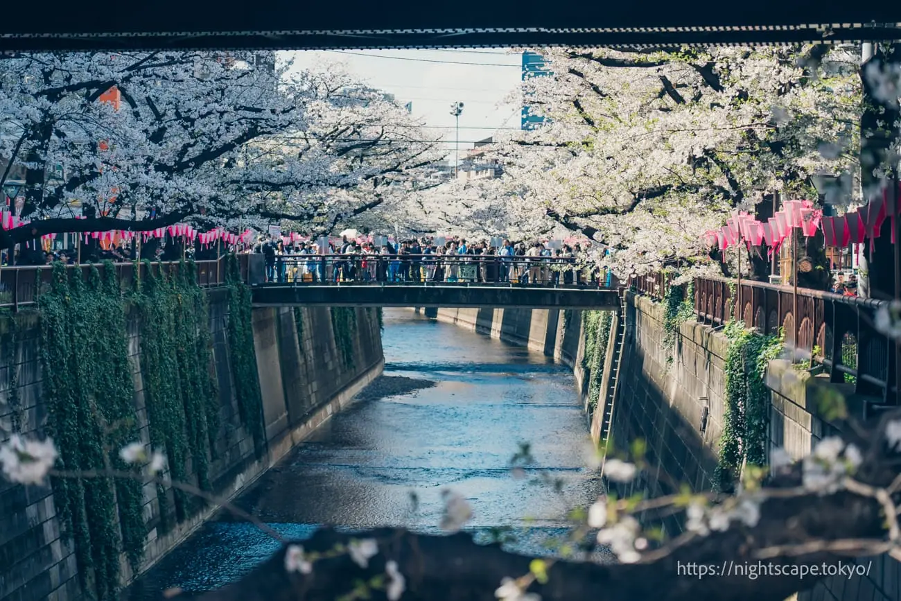 Bessho Bridge spanning Meguro River