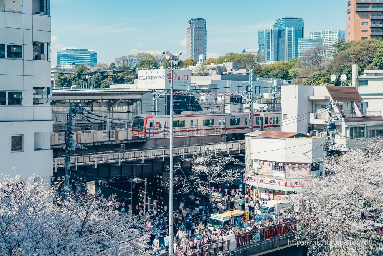 Nakameguro Station and Meguro River cherry blossoms