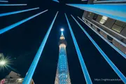 Night view from Koume Children's Park