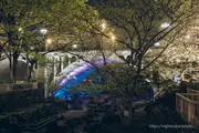 오토나시 친수공원 봄철 라이트업 2025 야경 이미지 3
