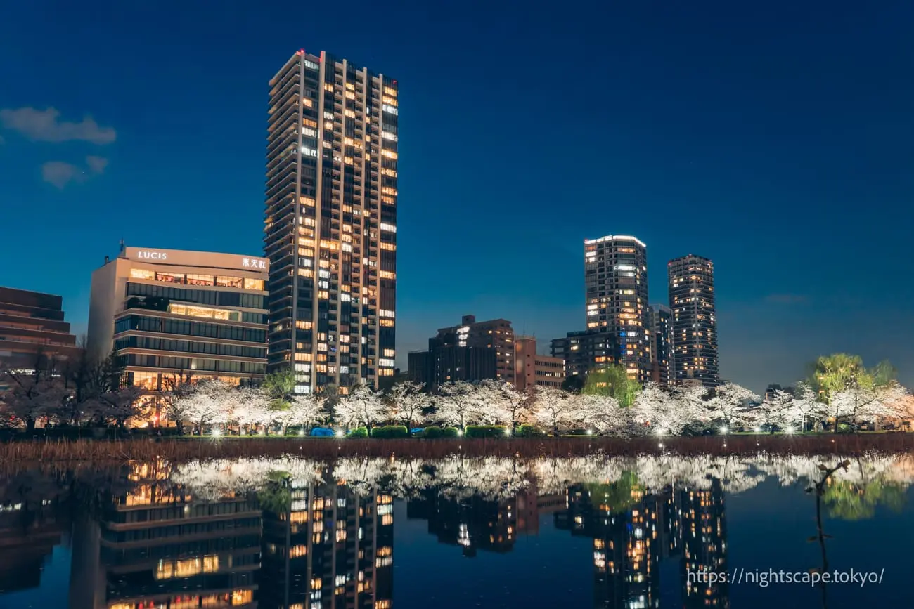 上野恩賜公園から見える夜景