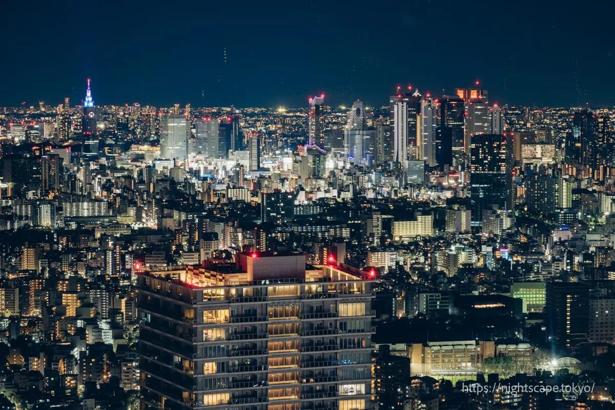 新宿方向夜景