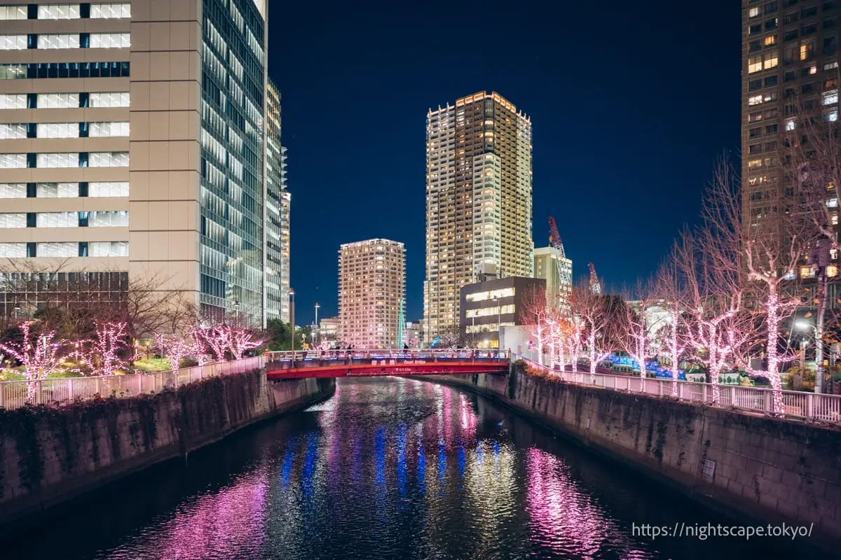 Meguro River Community Illumination 2025の夜景