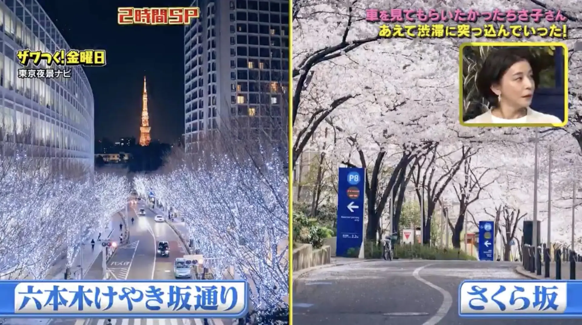 テレビ朝日「ザワつく!金曜日」に写真素材を提供