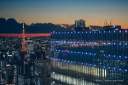 點燈後的東京鐵塔