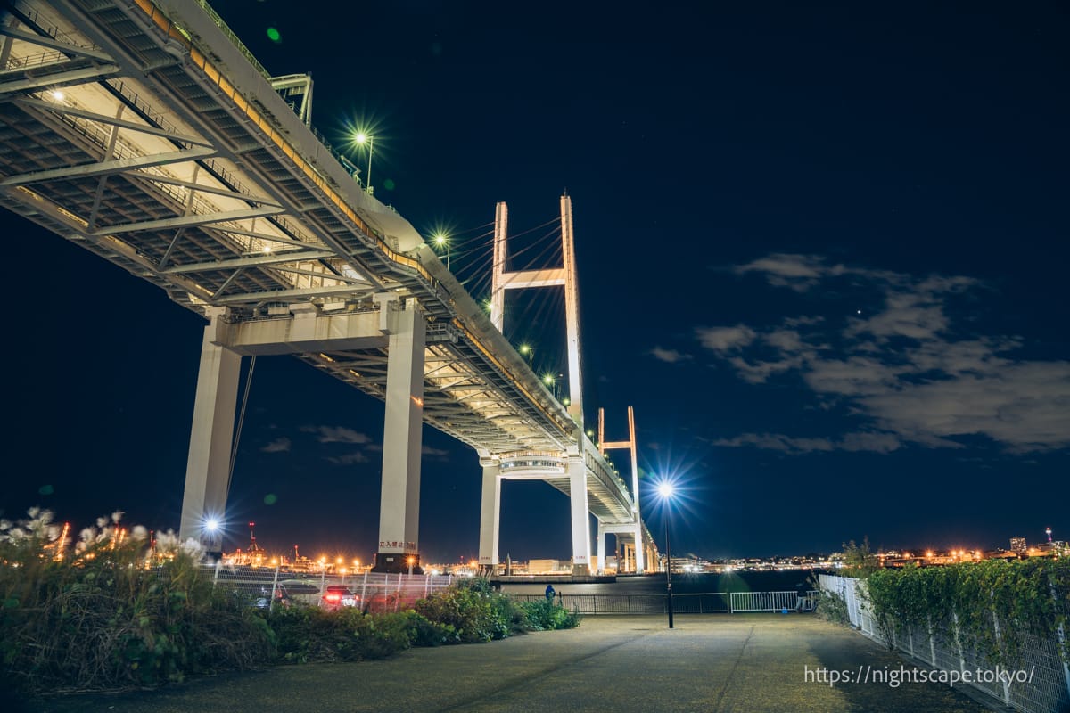 大黒ふ頭西緑地の行き方・営業時間・夜景見どころガイド | 東京夜景ナビ