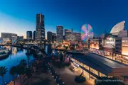 橫濱海港大飯店夜景