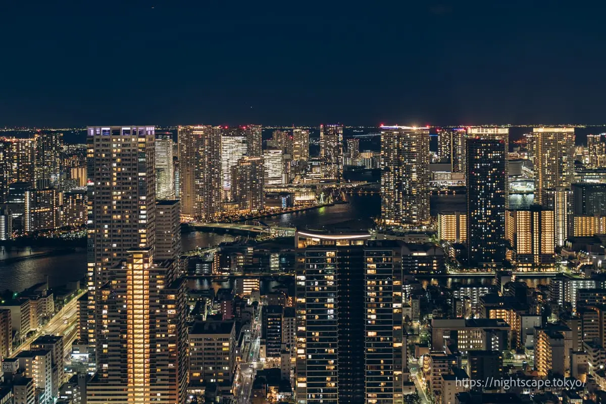 月岛地区夜景