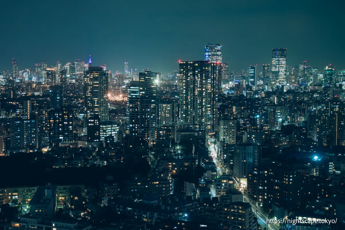 新宿和六本木区域的建筑夜景