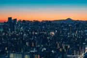 후지산과 미나토구 방면의 빌딩군