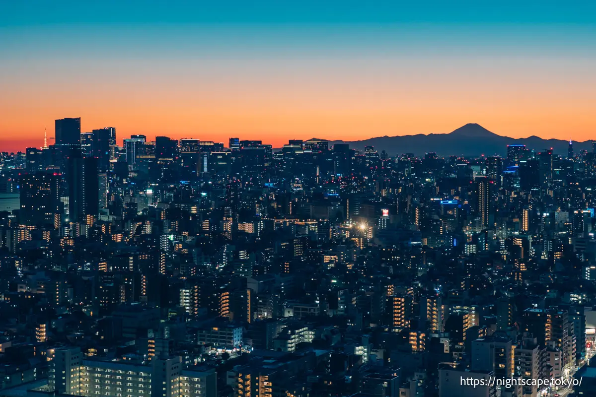 Mount Fuji and Minato Ward buildings