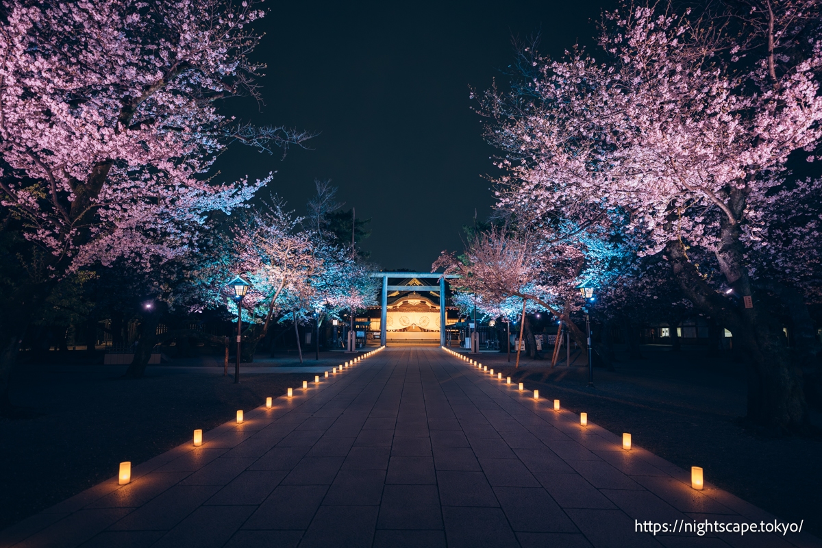 靖国神社 夜桜詣 2026の行き方・営業時間・夜景見どころガイド | 東京
