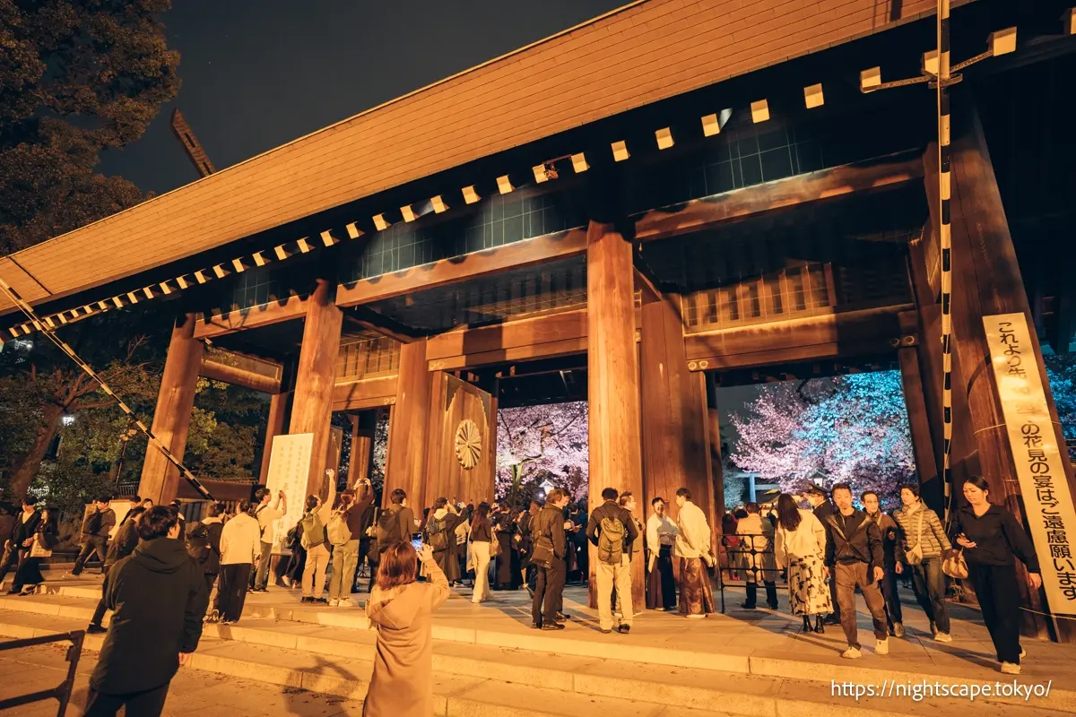 许多游客聚集的靖国神社夜樱参拜